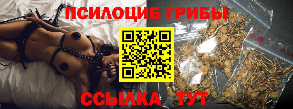 Качканар  Псилоцибиновые грибы Magic Shrooms  Вход с VPN  Псилоцибиновые грибы ЛСД 