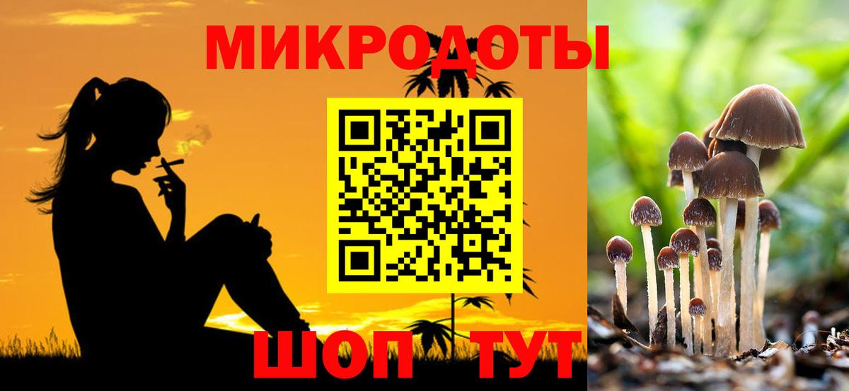 Псилоцибиновые грибы Magic Shrooms Качканар
